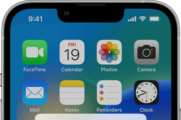 iPhone showing an incoming AirDrop, a photo of a tree swing, with options to decline or accept.  