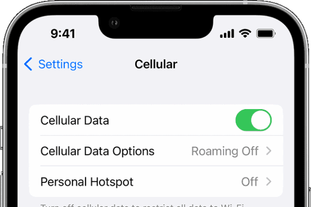 An iPhone screen showing cellular data settings  
