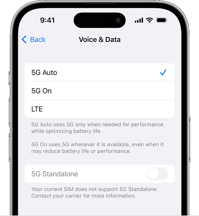 Screenshot showing Voice & Data preferences  