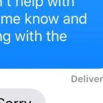 A picture of the Message app on iPhone, with a sent SMS showing the “Message Not Delivered” delivery status underneath it.