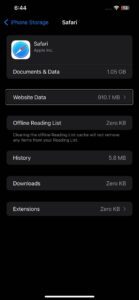 A screenshot showing Website data option in Safari settings on iPhone
