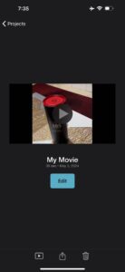 Select the video in project, then tap share button