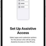An iPhone showing the Assistive Access setup screen with the Continue button at the bottom.  