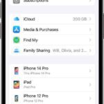 ios-17-iphone-14-pro-settings-apple-id-device-list  