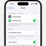 iPhone showing Sync Library turned on in Music Settings.  
