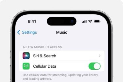 iPhone showing Sync Library turned on in Music Settings.  