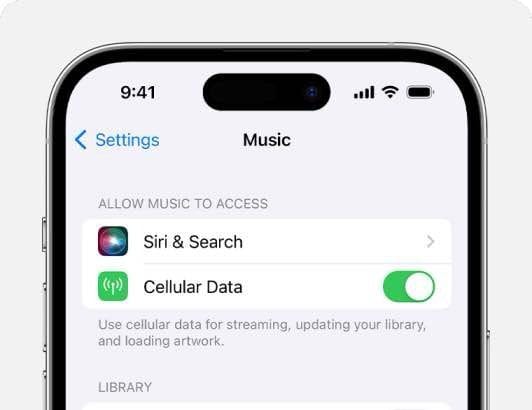 iPhone showing Sync Library turned on in Music Settings.  