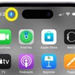 blue microphone icon at top of iPhone  