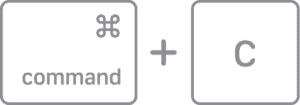 Press Command-C to copy on Mac