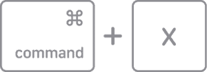 Press Command-X to cut on Mac