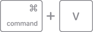 Press command-V to paste on Mac