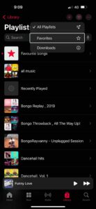 See loved Songs in Apple Music