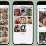 Person scrolling through iCloud photos  