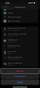 Sign Out option in iPhone settings