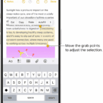 Text is selected in a note in the Notes app. Above the selected text are the Cut, Copy, Paste, and AutoFill buttons. The selected text is highlighted, with grab points to adjust the selection at either end.  