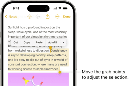Text is selected in a note in the Notes app. Above the selected text are the Cut, Copy, Paste, and AutoFill buttons. The selected text is highlighted, with grab points to adjust the selection at either end.  