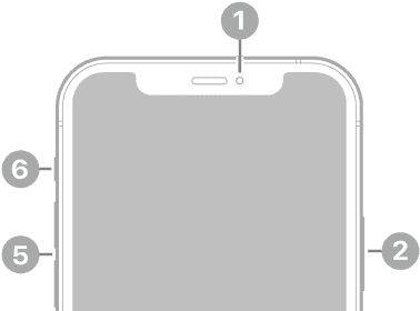 The front view of iPhone 12. The front camera is at the top center. The side button is on the right side. The Lightning connector is on the bottom. On the left side, from bottom to top, are the SIM tray, the volume buttons, and the Ring/Silent switch.  