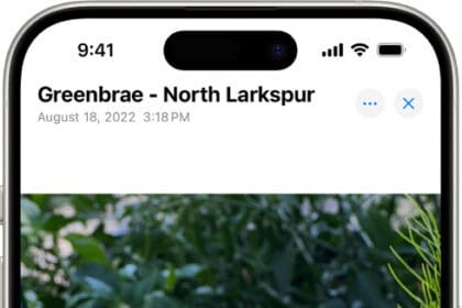 A photo is open in the Photos app library. At the bottom of the screen, the Info button displays an icon indicating that Visual Look Up information is available.  