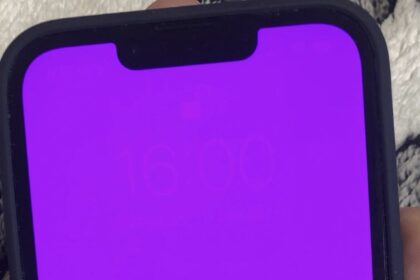 iPhone displaying the pink screen of death