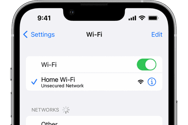 An iPhone showing the Wi-Fi screen. There's a blue a checkmark next to the Wi-Fi network's name.  