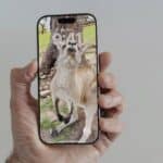 iOS 26 Spatial Scenes