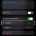 Set up translation on iPhone messages