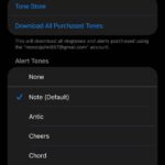 Text tone settings on iPhone