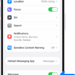 The Messages settings pane with iMessage turned on.