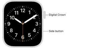 The front of Apple Watch, with the Digital Crown shown at the top on the right side of the watch and the side button shown at the bottom right.  