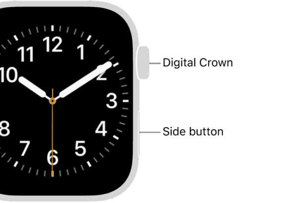 The front of Apple Watch, with the Digital Crown shown at the top on the right side of the watch and the side button shown at the bottom right.  