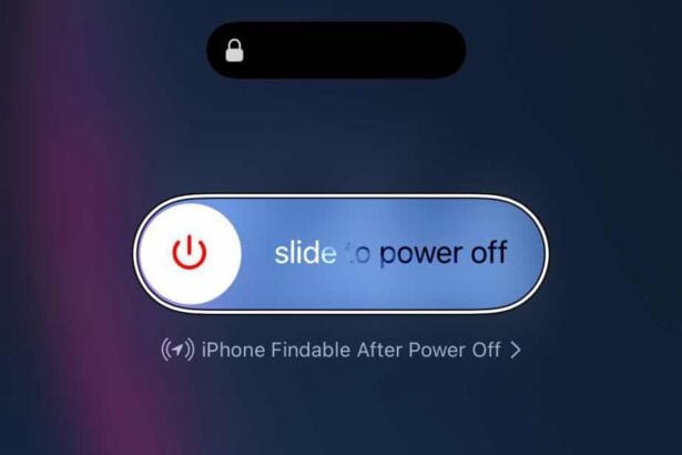 The Apple iPhone "Slide to Power Off" slider.  
