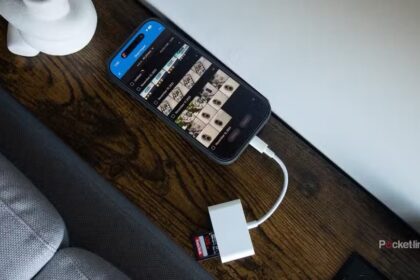 The iPhone 17 with a USB-C SD card reader plugged into it