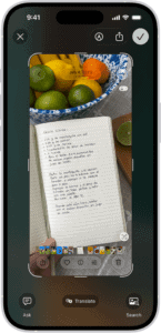 The screenshot screen, with buttons along the top (from left to right) for Close Window, Markup, Share, and Done. Along the bottom (from left to right) are buttons for Ask, Translate, and Search.  