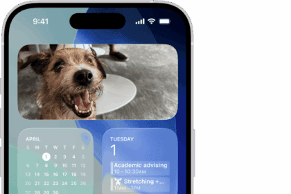A customized Home Screen clear icons tinted blue and arranged to frame the photo, and controls at the bottom of the screen for customizing icons. Options include Automatic, Dark, Light, and Tinted buttons, options for choosing color and saturation, and Small and Large buttons for setting the icons’ size.  