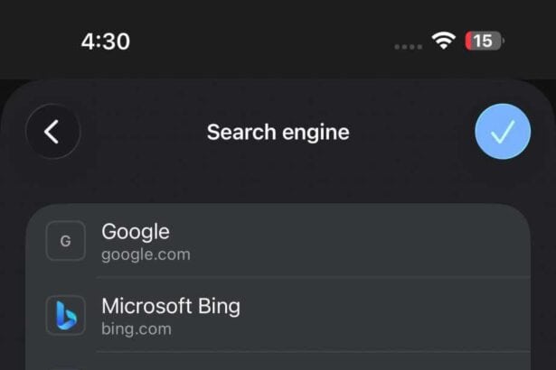 google chrome search engine settings on iPhone