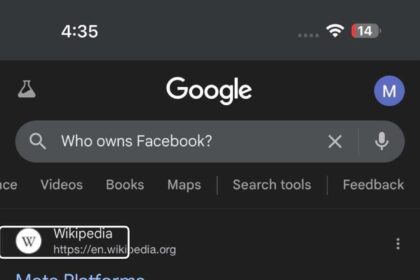 google site search