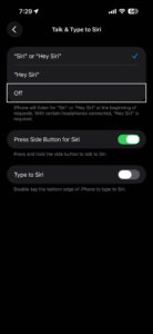 Screenshot showing Talk & Type to Siri screen on iPhone