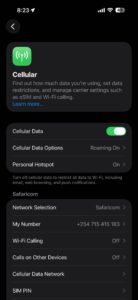 In cellular data settings on iPhone, turn on cellular data