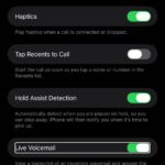 Screenshot showing live voicemail settings on iPhone