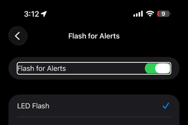 Flash for Alerts settings on iPhone