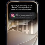 iPhone 17 Pro, Deep Blue, front screen, displaying a Siri AI query about the houseplant mentioned in a Messages conversation.