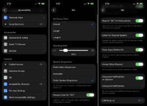 Turn on Accessibility Option