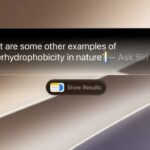 Ask Siri AI prompt on the screen