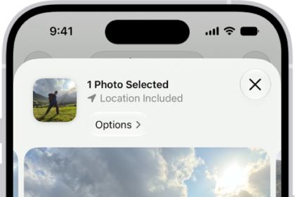 The screen for sharing a photo, with the sharing options immediately below the open photo, including the More button for editing the sharing options.