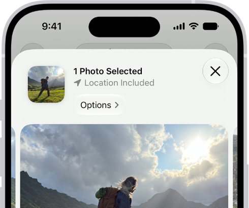 The screen for sharing a photo, with the sharing options immediately below the open photo, including the More button for editing the sharing options.