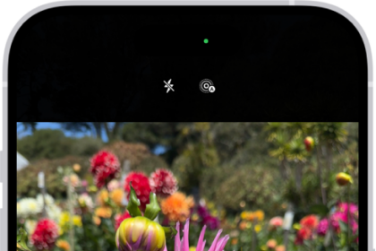 Camera is open in Photo mode. In the viewfinder, focus is locked on a subject and a slider to adjust the brightness level is next to the subject.