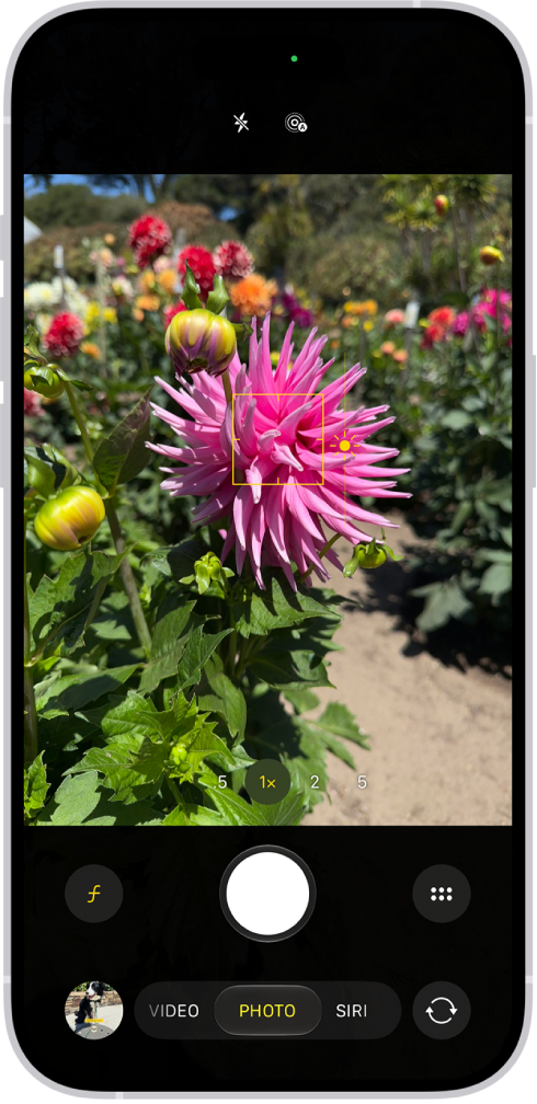 Camera is open in Photo mode. In the viewfinder, focus is locked on a subject and a slider to adjust the brightness level is next to the subject.