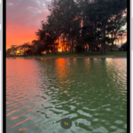 The Camera screen in Photo mode. Within the viewfinder is a night scene. Buttons for Night and Camera Controls mode appear in the top-right corner of the screen. At the bottom of the screen are, from left to right, the Photo and Video Viewer button, Video and Photo Mode, and the Camera Chooser Back-Facing button.
