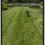 The camera frame fills the screen. At the bottom of the screen, the Shutter button moves to the right, demonstrating the movement of starting a QuickTake video.