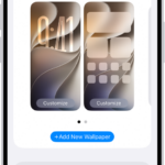 The Wallpaper Settings screen, with buttons for customizing the current wallpaper on the Home Screen and Lock Screen, and the Add New Wallpaper button for changing the wallpaper.